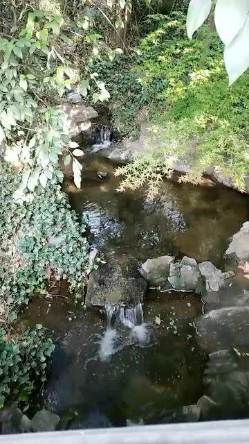 松动的水管