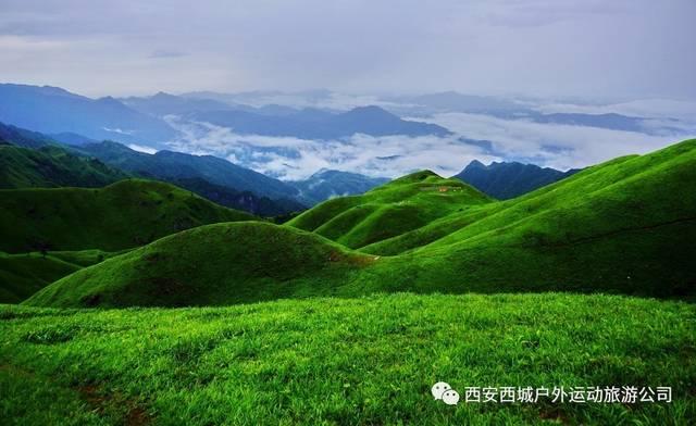 失忆的流浪者